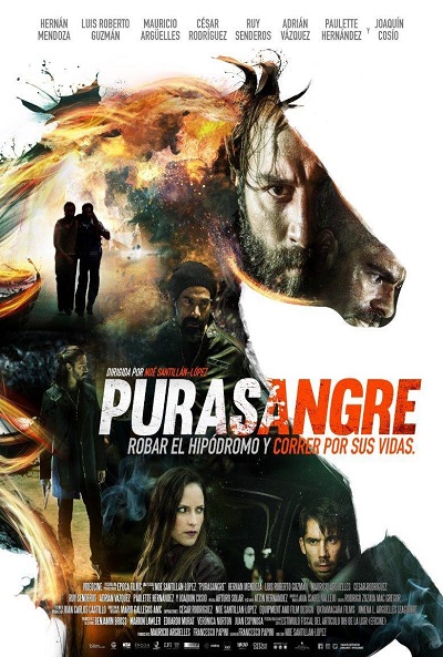 Póster de Purasangre