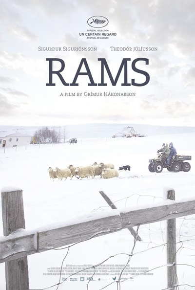 Póster de Rams (El valle de los carneros)