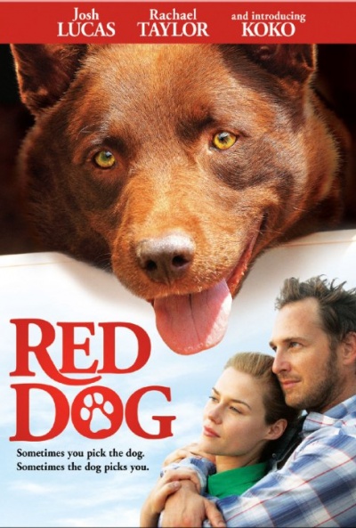 Póster de Red Dog, una historia de lealtad