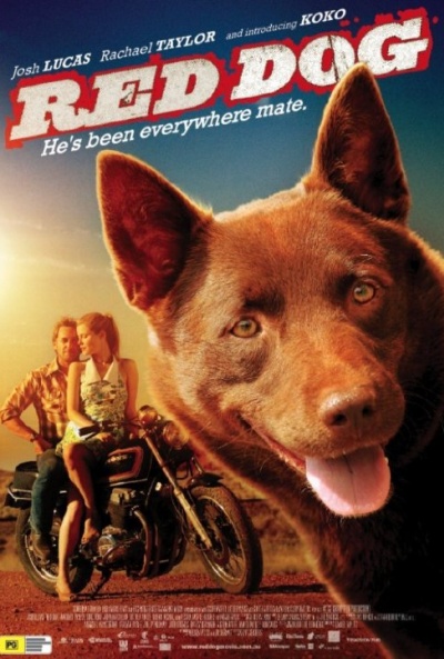 Póster de Red Dog, una historia de lealtad