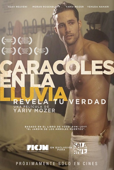 Póster de Caracoles en la lluvia