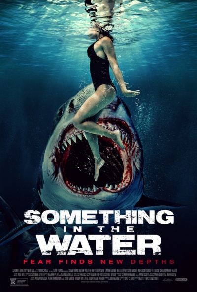 Póster de Something in the Water