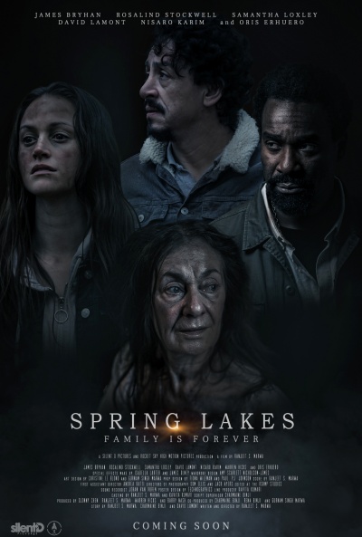 Póster de Spring Lakes