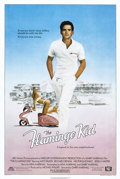 Póster de The Flamingo Kid