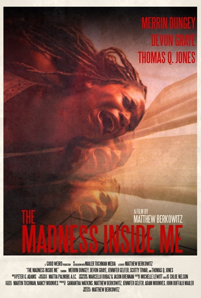 Póster de The Madness Inside Me