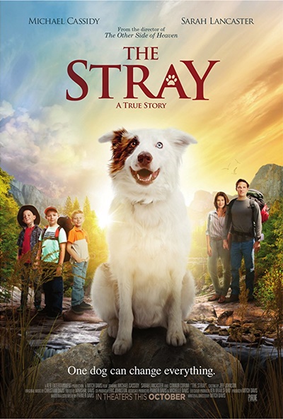 Póster de The Stray