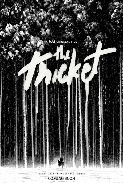 Póster de The Thicket