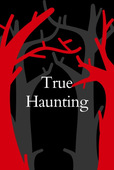 Póster de True Haunting