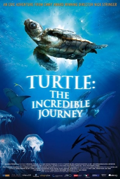 Póster de El viaje de la tortuga