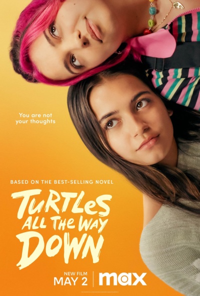 Póster de Turtles All the Way Down