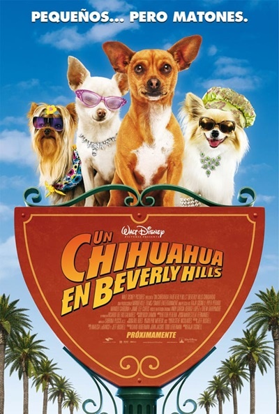 Póster de Un chihuahua en Beverly Hills