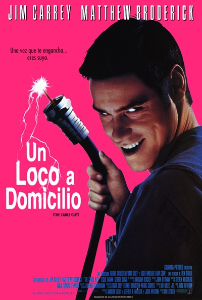 Póster de Un loco a domicilio