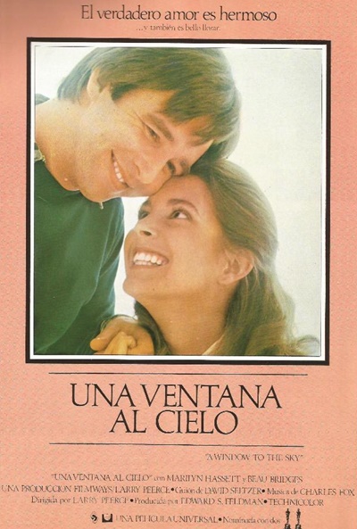 Póster de Una ventana al cielo