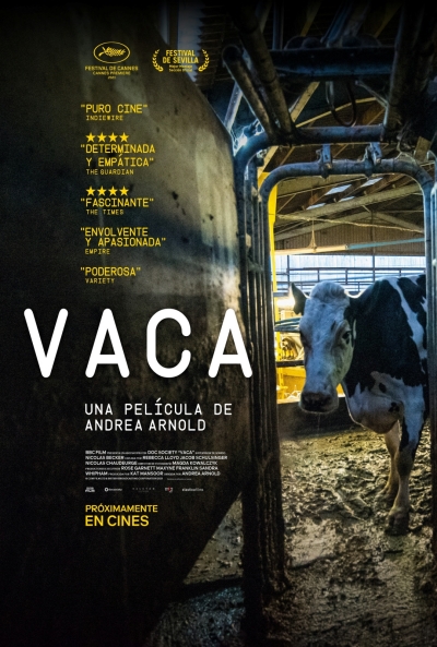 Póster de Vaca