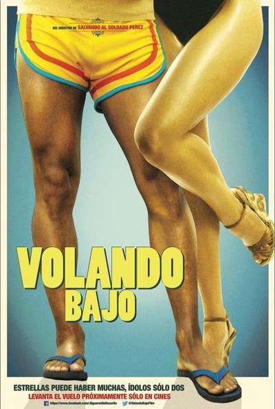 Póster de Volando bajo