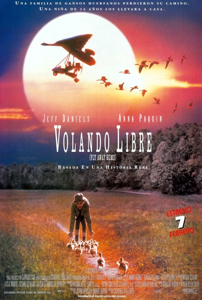 Póster de Volando libre