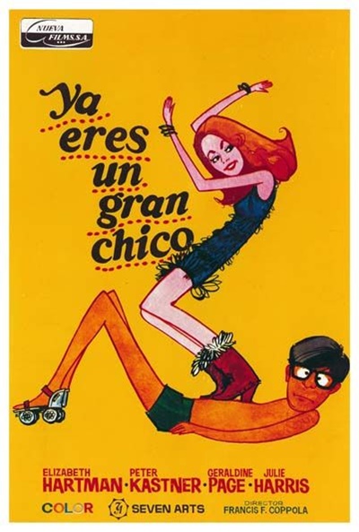 Póster de Ya eres un gran chico