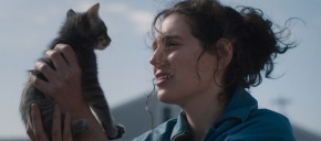 imagen de noticia relacionada