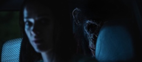 imagen de noticia relacionada