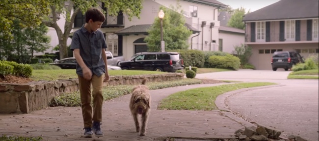 Tráiler de 'Think Like a Dog', comedia familiar con Gabriel Bateman ...