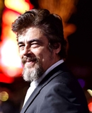 Benicio del Toro></a>

<p>Los principales medios estadounidenses como Variety se hacen eco de la misma historia: <a href=