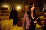 Foto de Scream 4