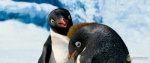 Foto de Happy Feet 2