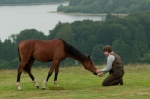 Foto de Caballo de batalla