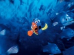 Foto de Buscando a Nemo