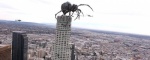 Foto de Big Ass Spider!