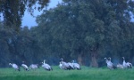 Foto de Guadalquivir