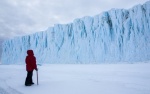 Foto de Antarctica: A Year on Ice