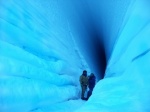 Foto de Antarctica: A Year on Ice