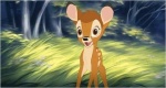 Foto de Bambi 2, el príncipe del bosque