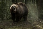 Foto de Into the Grizzly Maze