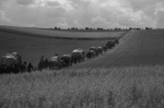 Foto de Heimat, la otra tierra