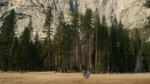 Foto de Yosemite