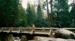 Foto de Yosemite