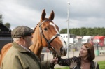 Foto de Caballo ganador