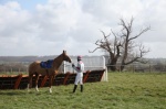 Foto de Caballo ganador