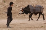 Foto de El caballo de dos piernas