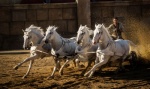 Foto de Ben-Hur