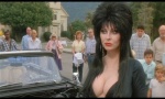 Foto de Elvira, Mistress of the Dark