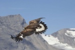 Foto de Hermanos del viento