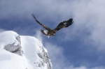 Foto de Hermanos del viento