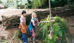 Foto de Un puente hacia Terabithia