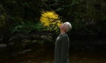 Foto de Leaning Into the Wind: Andy Goldsworthy