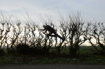 Foto de Leaning Into the Wind: Andy Goldsworthy