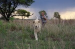 Foto de Mia y el león blanco