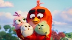 Foto de Angry Birds 2: La película